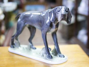Porzellan Figur Hund - Porzellan - F. Diller, Rosenthal - 1915