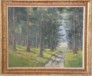 Der Wald Der Wald