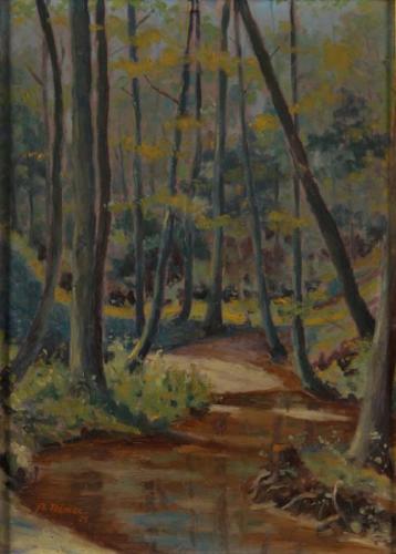 Nìmec, Bohumil * 1900 Nìmec, Bohumil * 1900