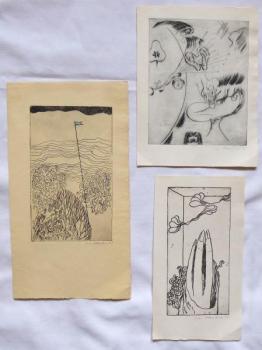 Eva Vlasakova - Finger, Meeresflora und Flagge, An Eva Vlasakova - Finger, Meeresflora und Flagge, An