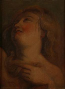 Javùrek, Karel (1815-1909) Javùrek, Karel (1815-1909)