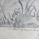 Zeichnung - Papier - Josef Bergler - 1803 Zeichnung - Papier - Josef Bergler - 1803