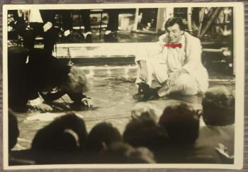 Fotografie - 1987 Fotografie - 1987