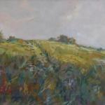 Pichlik - Wiese mit Büschen Pichlik - Wiese mit Büschen