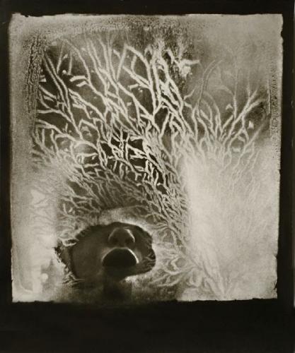 Jan Lukas: Januar, 1957 Jan Lukas: Januar, 1957