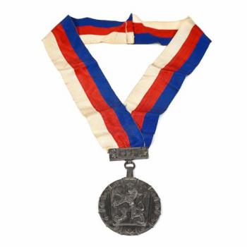Andere Kuriositäten - Silber - 1920 Andere Kuriositäten - Silber - 1920