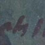 Pichlik - Wiese mit Büschen Pichlik - Wiese mit Büschen