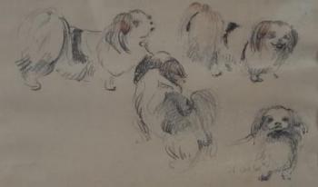 Die Hunde Die Hunde