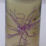 Vase mit einer rosa und weißen Blume - Petr Hora Vase mit einer rosa und weißen Blume - Petr Hora