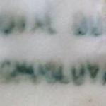 Junge mit Akkordeon und Hund - Dux Junge mit Akkordeon und Hund - Dux