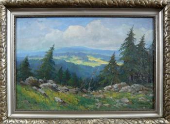 Josef Svoboda - Die Vorsgebirsggegend Josef Svoboda - Die Vorsgebirsggegend