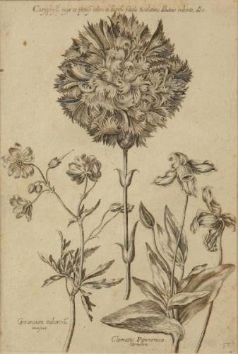 Gemälde - 1730 Gemälde - 1730