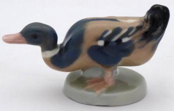 Kleine Ente - Dubi bei Teplice Kleine Ente - Dubi bei Teplice
