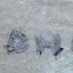 Viktor Voroncov - Russin im Schal Viktor Voroncov - Russin im Schal