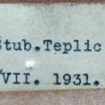R. Beskyd - Sv. Michal u Stub. Teplice, Slowakei R. Beskyd - Sv. Michal u Stub. Teplice, Slowakei