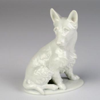 Terrier - Rosenthal Terrier - Rosenthal