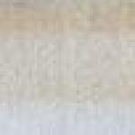 Emilie Tomanova - Prager Motive Emilie Tomanova - Prager Motive