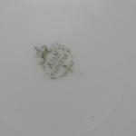 Teller - weißes Porzellan - Aich Karlsbad, Bohemia - 1920 Teller - weißes Porzellan - Aich Karlsbad, Bohemia - 1920