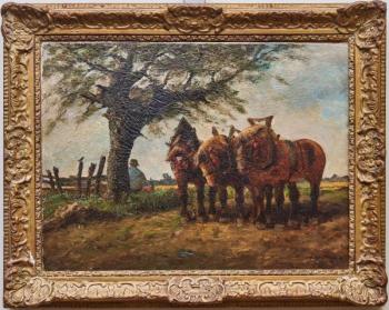 Pferde - 1900 Pferde - 1900