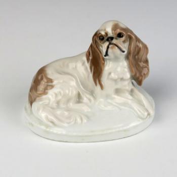 Cavalier King Charles Spaniel - Rosenthal Cavalier King Charles Spaniel - Rosenthal