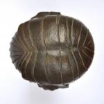 Bste - Bronze - Demetre Chiparus - 1925