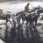 Alex Adolf Jelinek - Schwimmende Pferde