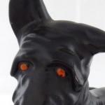 Scottish Terrier mit roten Augen und Schnauze